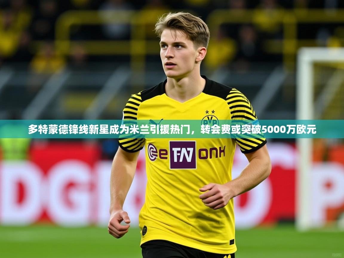 2025多特蒙德锋线新星成为米兰引援热门,转会费或突破5000万欧元 第4张