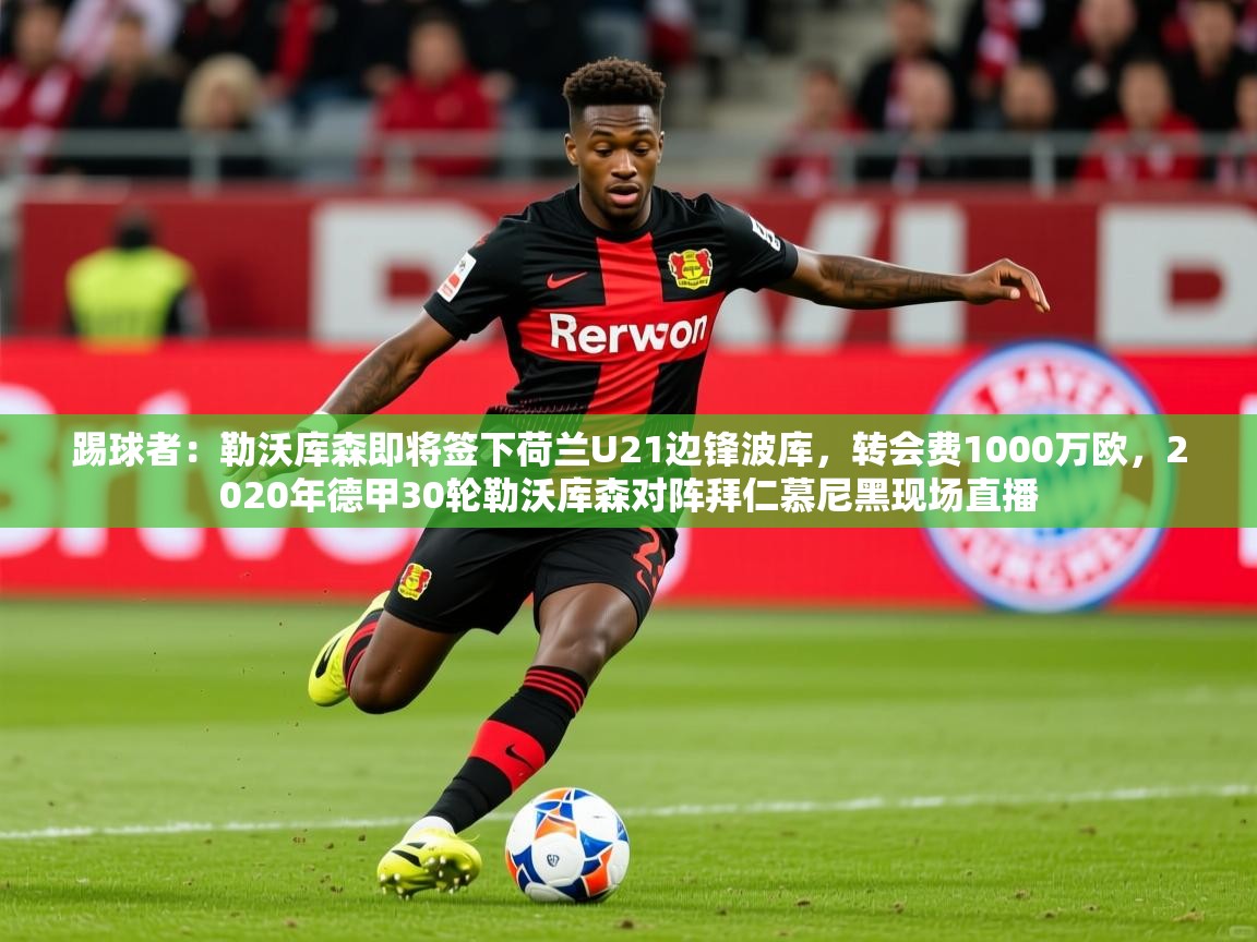2025踢球者:勒沃库森即将签下荷兰U21边锋波库,转会费1000万欧,2020年德甲30轮勒沃库森对阵拜仁慕尼黑现场直播 第2张